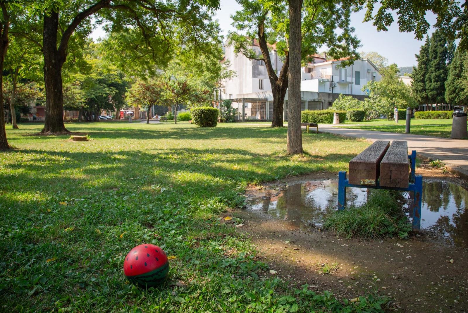 A park with a watermelon ball

Description automatically generated