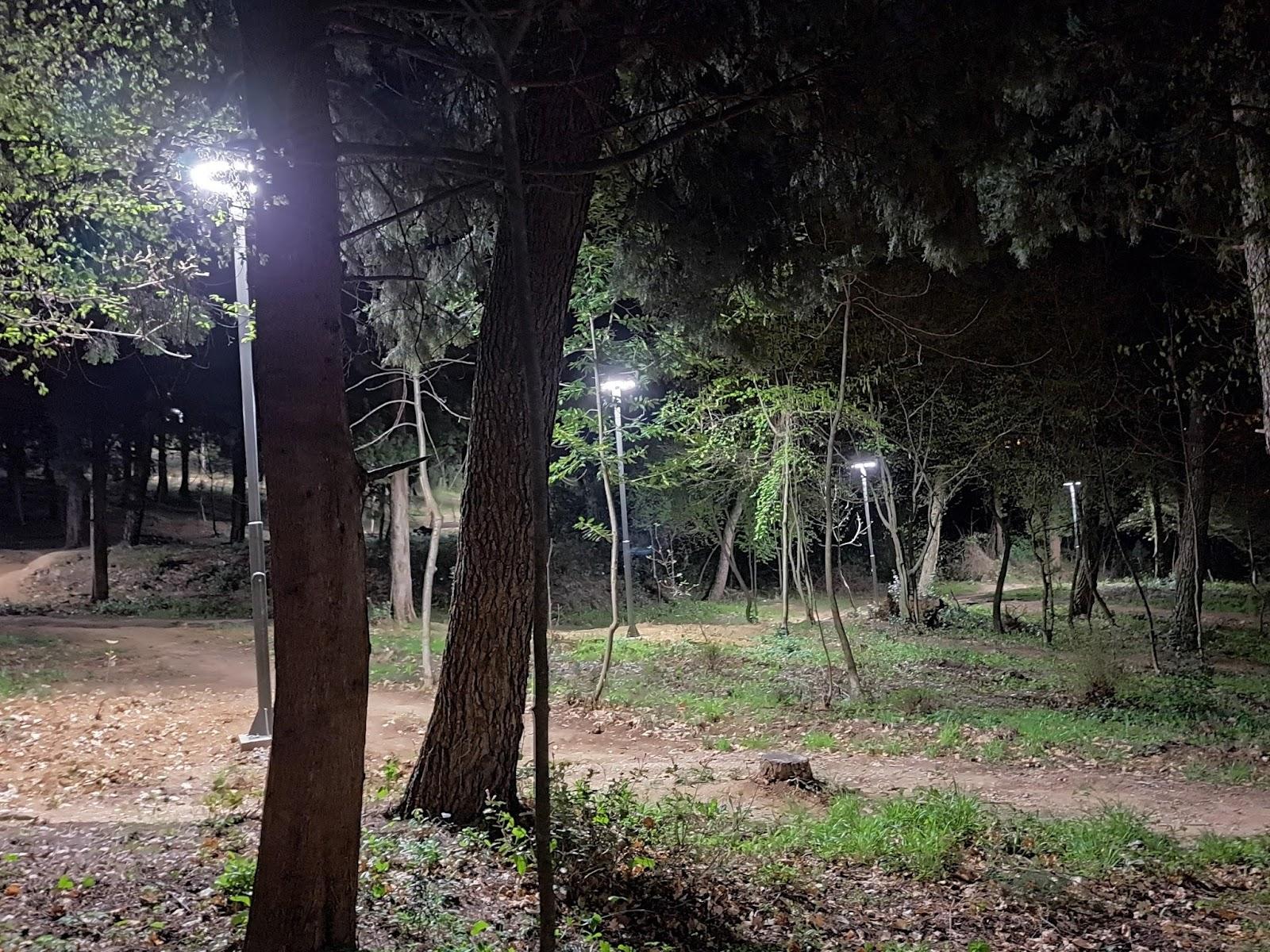 A group of lights in a park

Description automatically generated