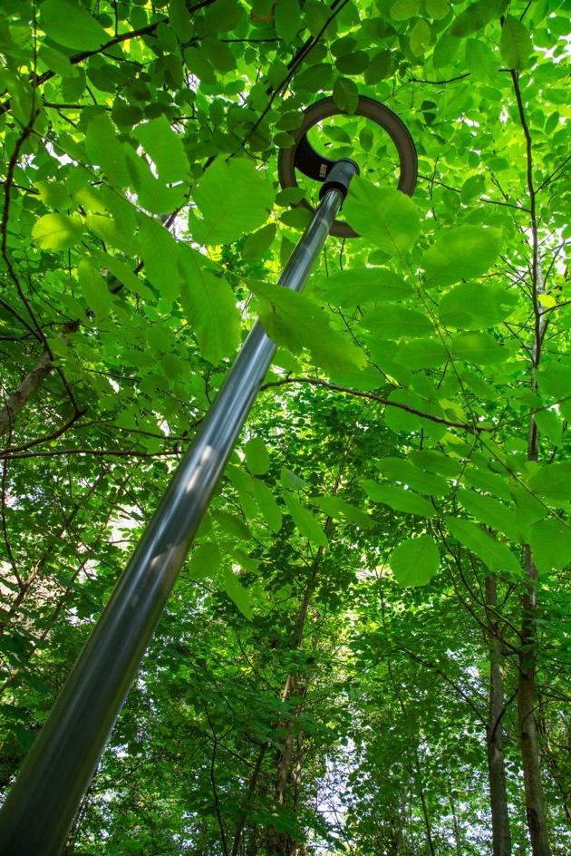 A light pole in the woods

Description automatically generated