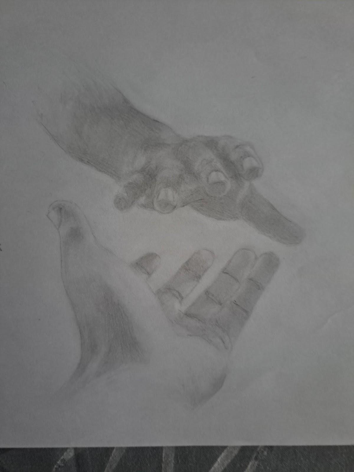 A drawing of two hands

Description automatically generated