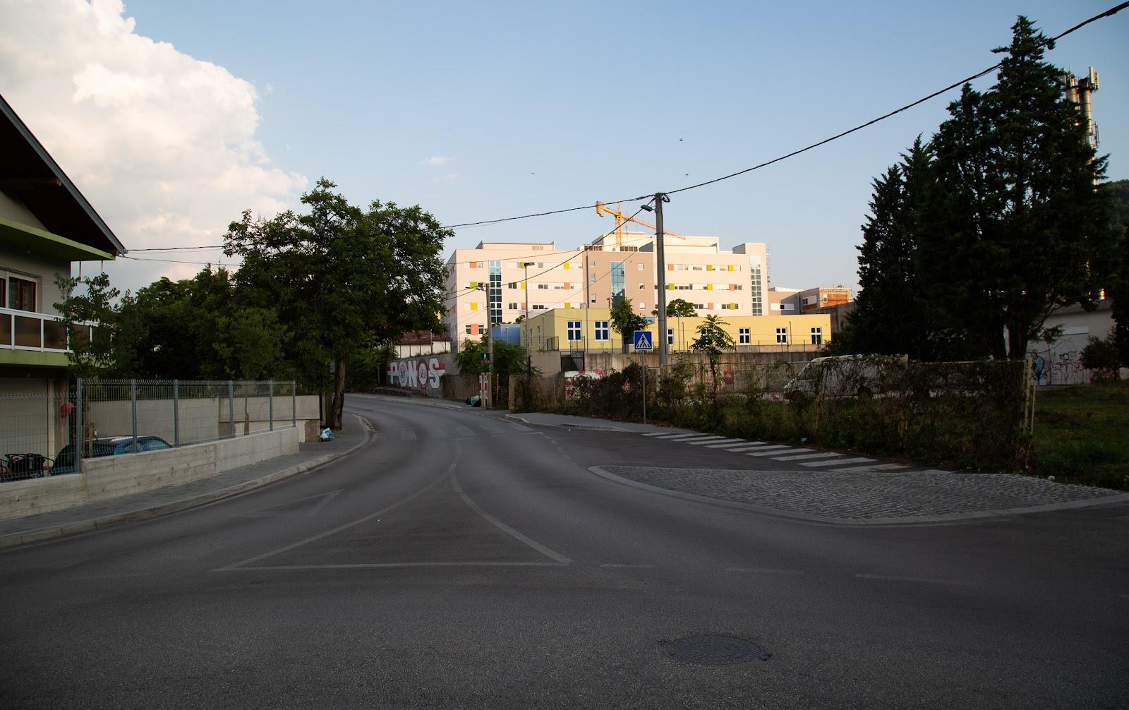 A road with trees and buildings in the background

Description automatically generated