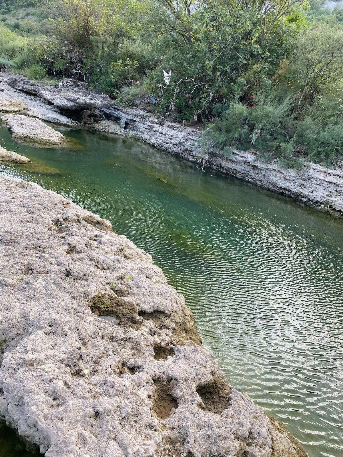 A river with rocks and trees

Description automatically generated